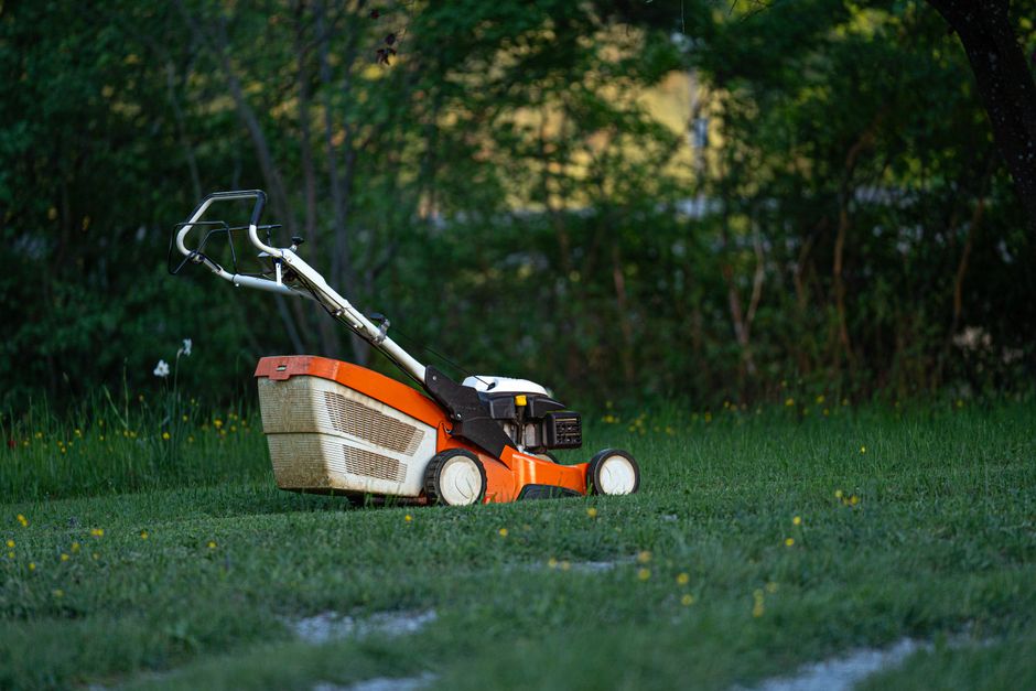 Lawn Mowing service - TODO: Replace with real photo