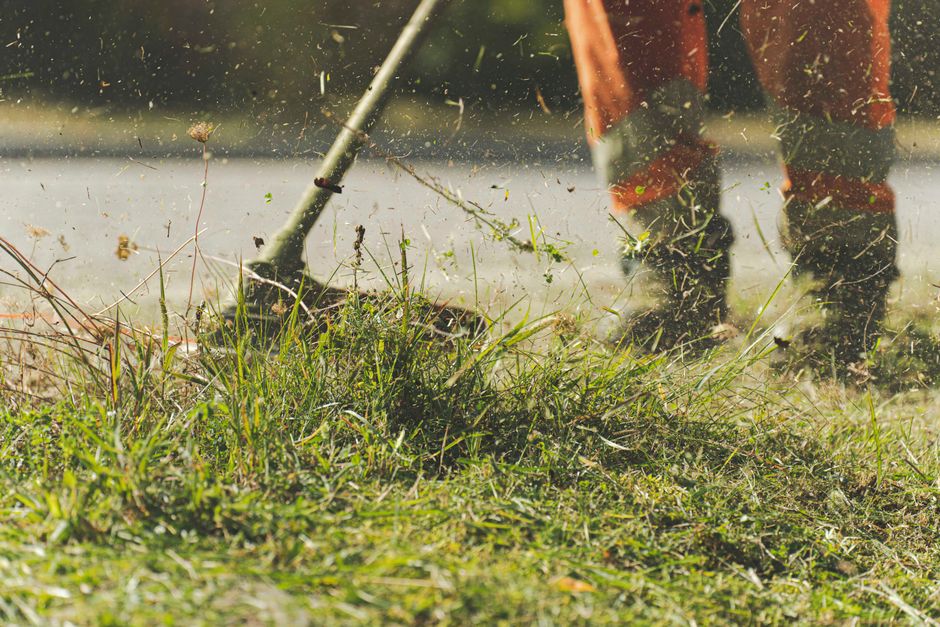 Yard Cleanup service - TODO: Replace with real photo